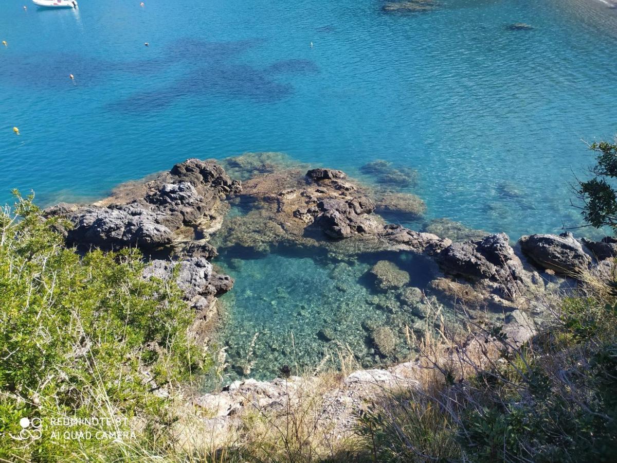 Villa Max San Nicola Arcella Esterno foto